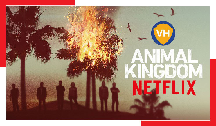 Watch Animal Kingdom: Season 6 on NetFlix From Anywhere in the World  [Updated]