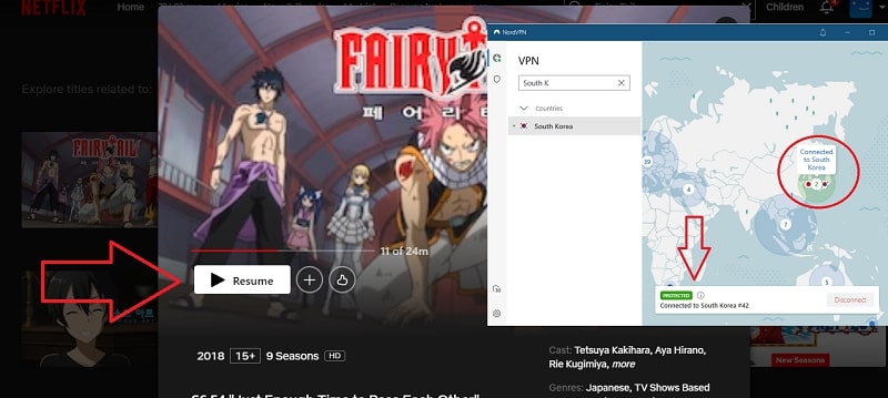 Watch Fairy Tail all 9 Seasons on NetFlix From Anywhere in the World