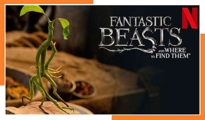 Fantastic Beasts and Where To Find Them