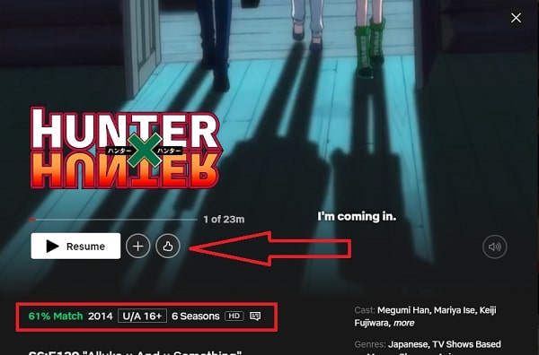 Watch Hunter X Hunter All 6 Seasons on NetFlix From Anywhere in the World