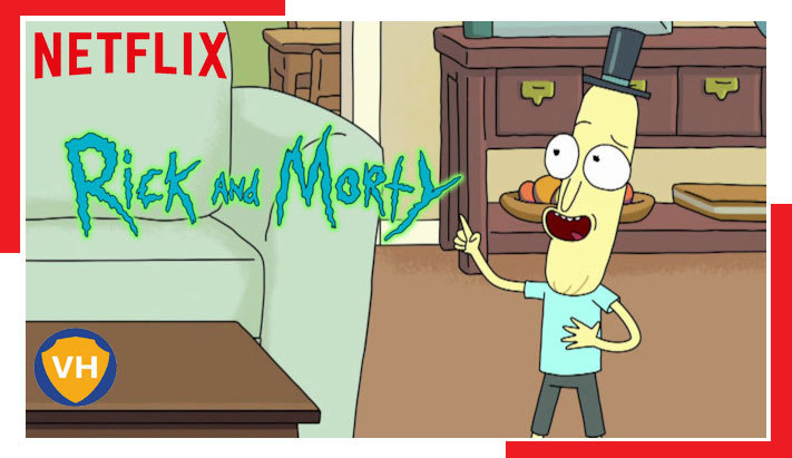 How to Watch Rick and Morty all 5 seasons on NetFlix From Anywhere in The World