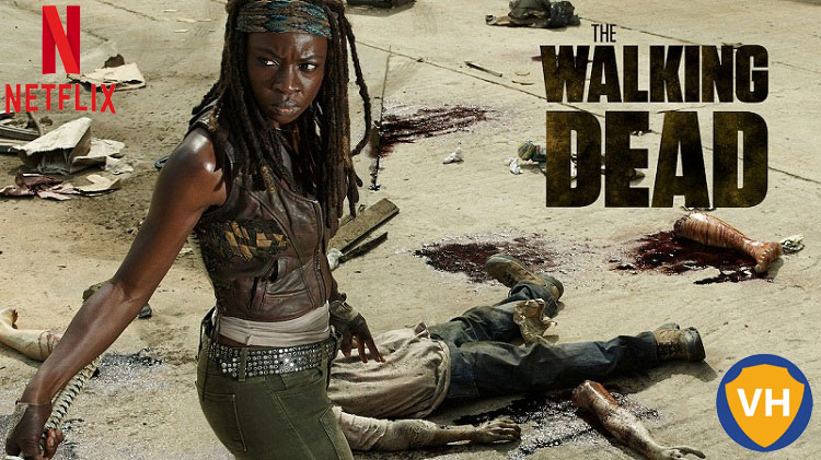 Watch The Walking Dead  All 10 Seasons on Netflix From Anywhere in The World