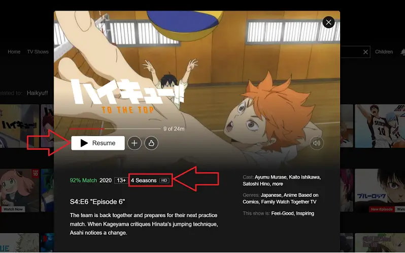 Regardez Haikyu !! les 4 saisons sur Netflix de n'importe où dans le monde