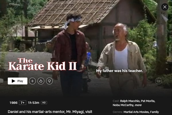 Watch The Karate Kid Part II on Netflix From Anywhere in the World