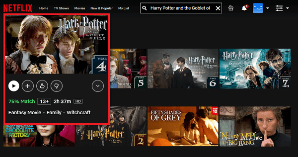  Harry Potter and the Goblet of Fire on Netflix 