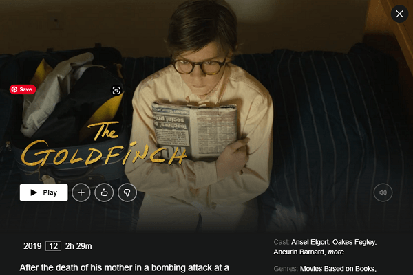 Watch The Goldfinch (2019) on Netflix