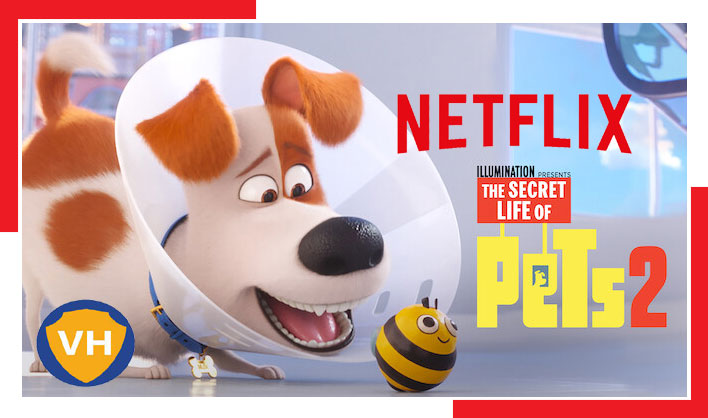Watch The Secret Life of Pets 2 (2019) on Netflix From Anywhere in the World