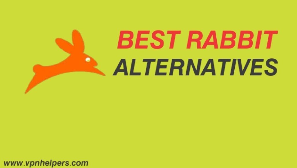 11 Best Rabbit Alternatives Working