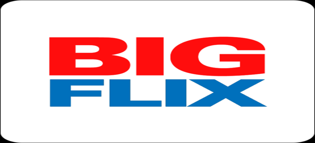 BIGFlix