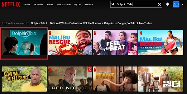 Watch Dolphin Tale (2011) on Netflix
