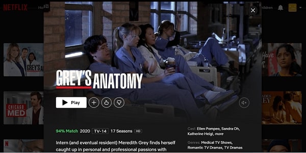 Watch Grey's Anatomy on Netflix 3