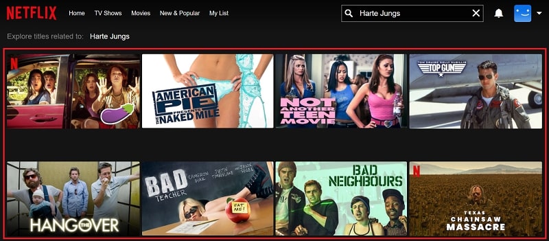 Harte Jungs on Netflix: Watch from Anywhere in the World