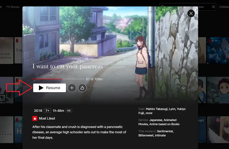I Want to Eat Your Pancreas (2018): Get Ready To Watch It From Anywhere On  Netflix