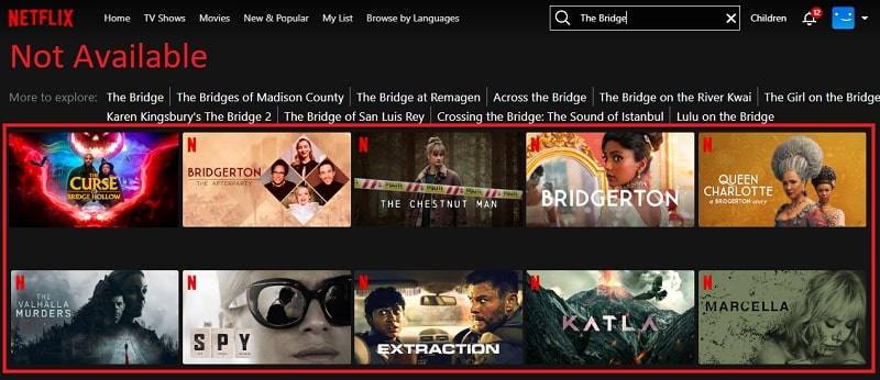 Watch The Bridge on Netflix from Anywhere